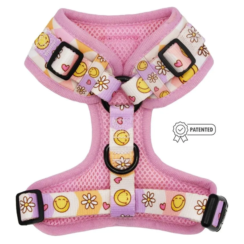 Daisy Me Rolling Adjustable Dog Harness